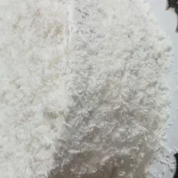 انواع کیک کافی شاپی|کافی‌شاپ و رستوران|زاهدان, |دیوار