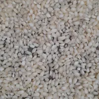 برنج گرده ماه نشان|عمدهفروشی|زنجانرود, |دیوار