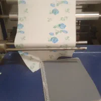 سفره یکبار مصرف ۴۰۰گرمی در طرحهای مختلف|ظروف نگهدارنده، پلاستیکی، یکبارمصرف|گرگان, |دیوار