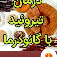 پک گانودرما ،ستین،دکتر بیز