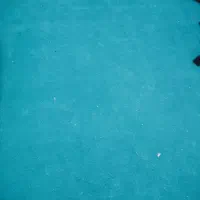 مقداری موکت سالم وتمیز|موکت|یزد, |دیوار