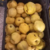 به (هیوا ) پنبه ای گیوی