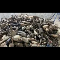 مرکزخرید کاتالیزورداخلی ووارداتی وسرسیلندرآکبند