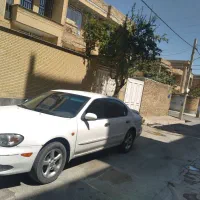 ماکسیما ۸۴ سفید