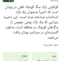 سگ باهوش|سگ|یاسوج, |دیوار