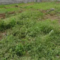 یک-قواره-زمین