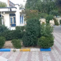 فروش-سوله-بهداشتی