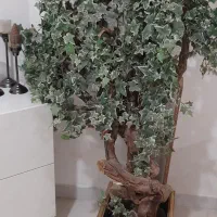 درختچه|گل مصنوعی|تهران, قصر فیروزه ۲|دیوار