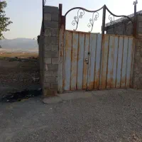 دامداری و پرواربندی گاو و گوسفند روستای بلیلوند