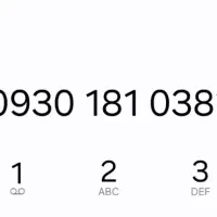 0381. 181. 0930
