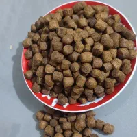 طعمه ماهیگیری و لنسر