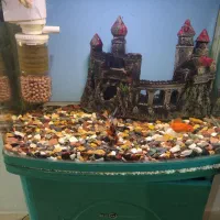 آکواریوم کمدی|ماهی|مشهد, شهرک مهرگان|دیوار