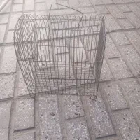 قفس قناری لوزم موتور