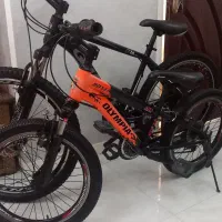 دوچرخه دو عدد