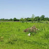 فروش زمین در روستای چهارده|فروش زمین و ملک کلنگی|آستانه اشرفیه, |دیوار