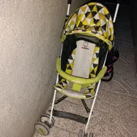 کالسکه عصایی