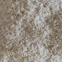 برنج هاشمی خالص