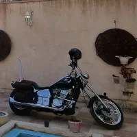 رگال رپتور اسپایدر
