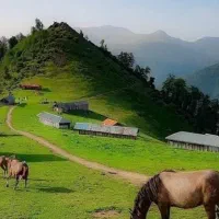 معاوضه-گوهر-با-زمین-در-شمال