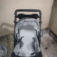 کالسکه و کریر دلیجان