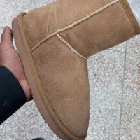 بوت زنانه|کیف، کفش، کمربند|شیراز, زرهی|دیوار