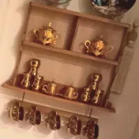 شلف دیواری چوب اصل با تمام دکوری های داخلش