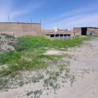 سالن 300 متری 1000 متر محوطه حاشیه جاده فریمان|اجارهٔ دفتر صنعتی، کشاورزی، تجاری|مشهد, طرق|دیوار