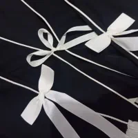 مانتو عبا پاپیونی|لباس|قم, قلعه کامکار|دیوار