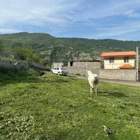 سیصد متر زمین بافت سوادکوه زیراب پلسفید الاشت|فروش زمین و ملک کلنگی|زیرآب, |دیوار