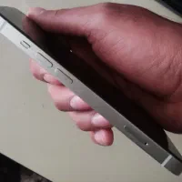 iPhone 14 normal|موبایل|اصفهان, باغ نگاره|دیوار