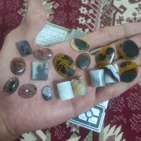 سنگ شجر و سلیمانی مهره