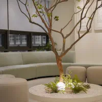 ادمین خانم اینستاگرام در کلینیک زیبایی
