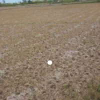 زمین مسکونی