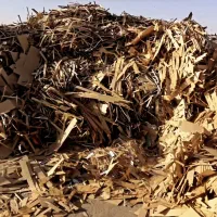 کارتن ضایعات