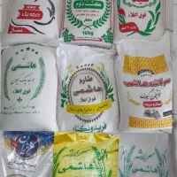 برنج طارم استخوانی ،کشت دوم فریدونکنار