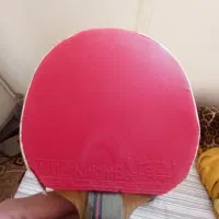 فروش راکت تنیس روی میز