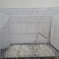 قفس|لوازم جانبی حیوانات|مشهد, پنجتن|دیوار