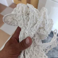 تور میز بیلیارد|تجهیزات ورزشی|اصفهان, برازنده|دیوار