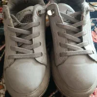 کفش|کیف، کفش، کمربند|گلبهار, شهر جدید گلبهار|دیوار