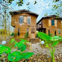 سرمایه-گذاری-کم-ریسک-در-پروژه-طبیعت-محور