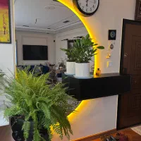 آینه لاینر