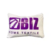 بالشت طبی بیز