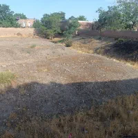 فروش-زمین-باغ-باغشن-نیشابور