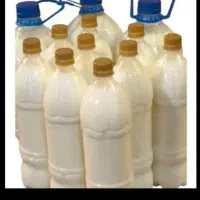 پخش دوغ محلی