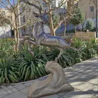 علم و علامت و لوازم