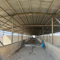 فروش ۴ هکتار در منطقه صنعتی کوهپایه|فروش دفتر صنعتی، کشاورزی، تجاری|اصفهان, زیار|دیوار