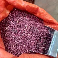 لوبیا قرمز بوجاری زودپز