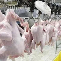 آگهی استخدام نیروی کار