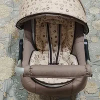 کریر نوزادی