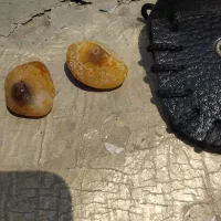 گم شده|اشیا|کارون, |دیوار